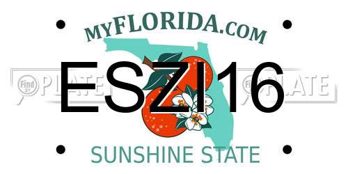 ESZI16 Florida License Plate