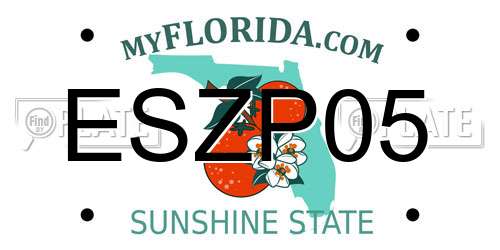 ESZP05 Florida License Plate