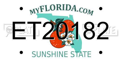 ET20182 Florida License Plate