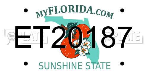 ET20187 Florida License Plate