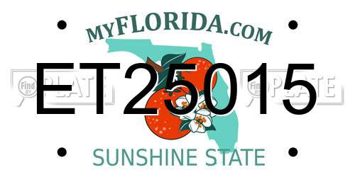 ET25015 Florida License Plate