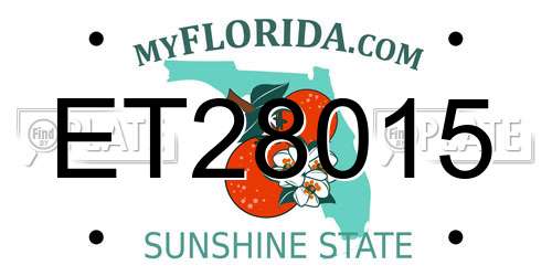 ET28015 Florida License Plate