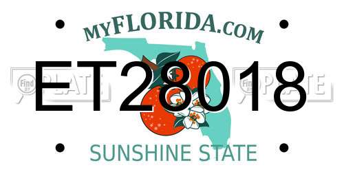 ET28018 Florida License Plate