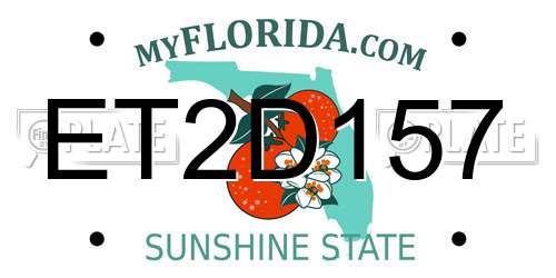ET2D157 Florida License Plate