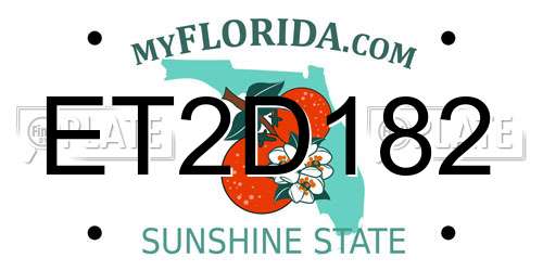 ET2D182 Florida License Plate