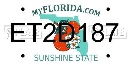 ET2D187 Florida License Plate