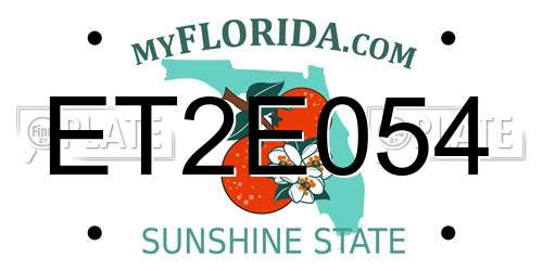 ET2E054 Florida License Plate
