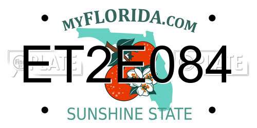 ET2E084 Florida License Plate