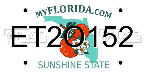 ET2O152 Florida License Plate