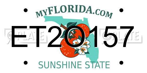 ET2O157 Florida License Plate