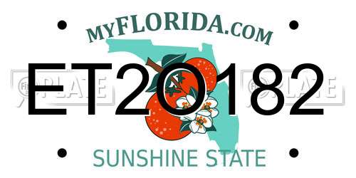 ET2O182 Florida License Plate