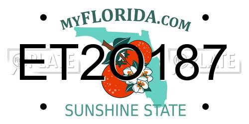 ET2O187 Florida License Plate
