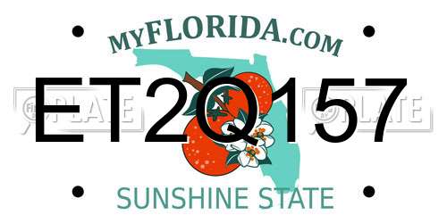 ET2Q157 Florida License Plate