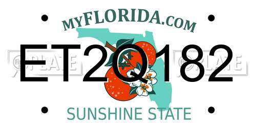 ET2Q182 Florida License Plate