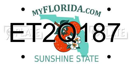 ET2Q187 Florida License Plate
