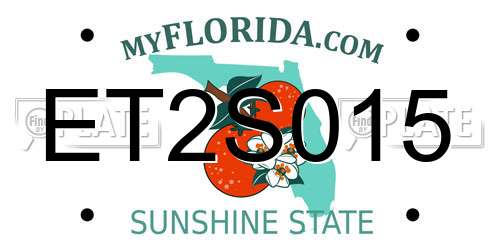 ET2S015 Florida License Plate