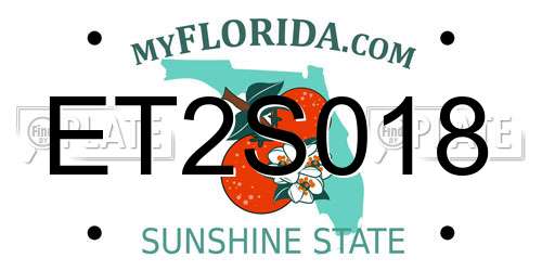 ET2S018 Florida License Plate