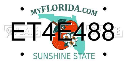 ET4E488 Florida License Plate