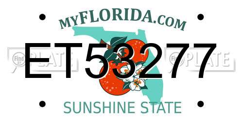 ET53277 Florida License Plate