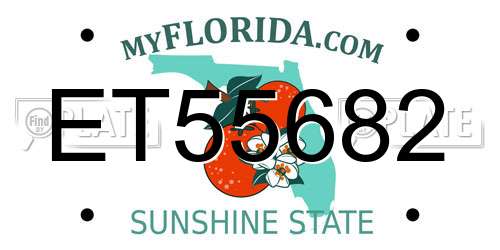 ET55682 Florida License Plate