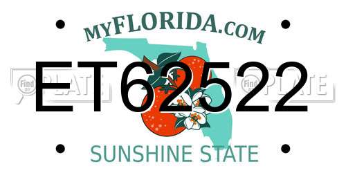 ET62522 Florida License Plate