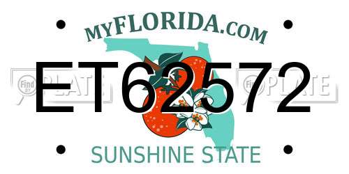 ET62572 Florida License Plate