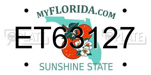 ET63127 Florida License Plate