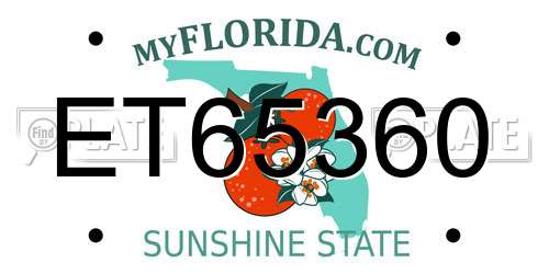 ET65360 Florida License Plate