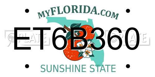 ET6B360 Florida License Plate