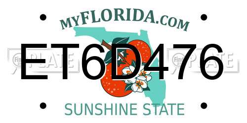 ET6D476 Florida License Plate