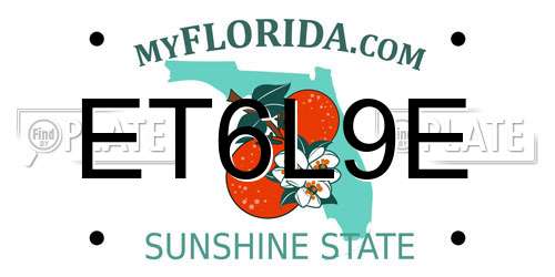 ET6L9E Florida License Plate
