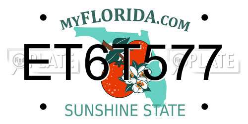 ET6T577 Florida License Plate