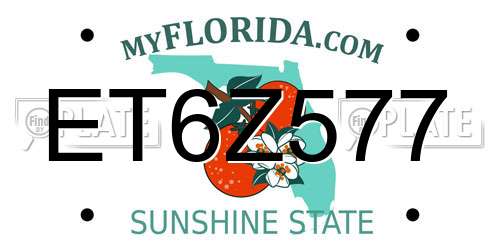 ET6Z577 Florida License Plate