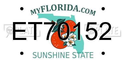 ET70152 Florida License Plate