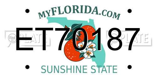 ET70187 Florida License Plate