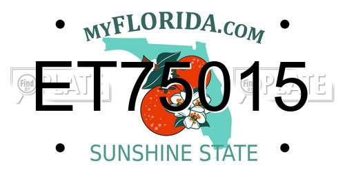 ET75015 Florida License Plate