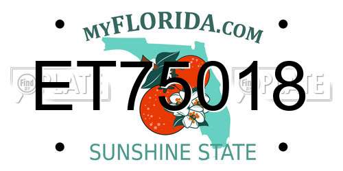 ET75018 Florida License Plate