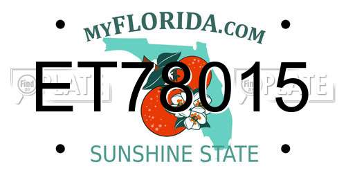 ET78015 Florida License Plate
