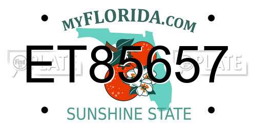 ET85657 Florida License Plate