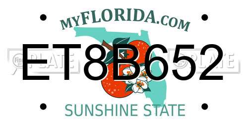 ET8B652 Florida License Plate
