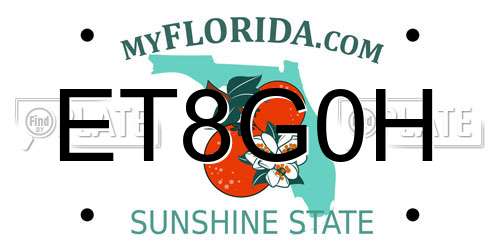 ET8G0H Florida License Plate