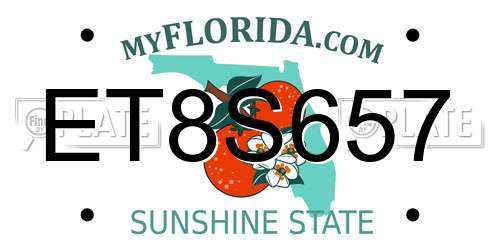 ET8S657 Florida License Plate
