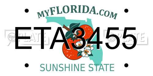 ETA3455 Florida License Plate