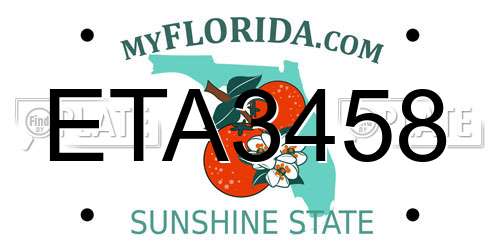 ETA3458 Florida License Plate