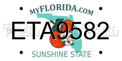ETA9582 Florida License Plate