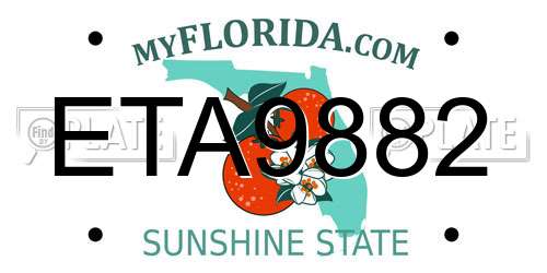 ETA9882 Florida License Plate