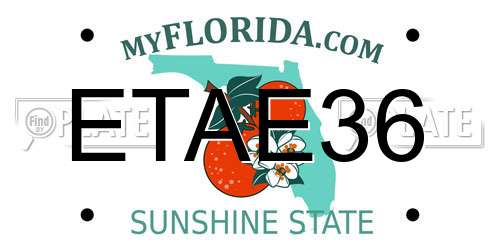 ETAE36 Florida License Plate