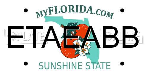 ETAEABB Florida License Plate