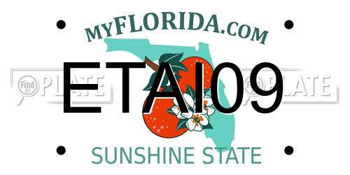 ETAI09 Florida License Plate