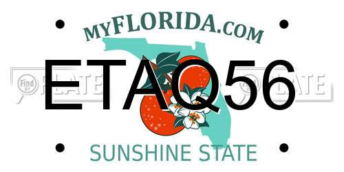 ETAQ56 Florida License Plate